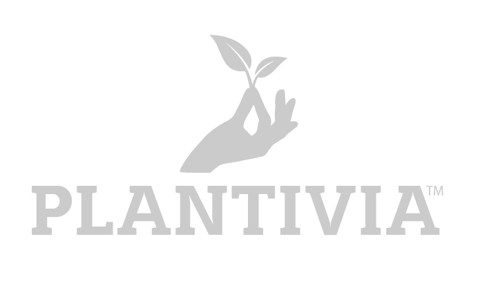 Plantivia Logo Branding